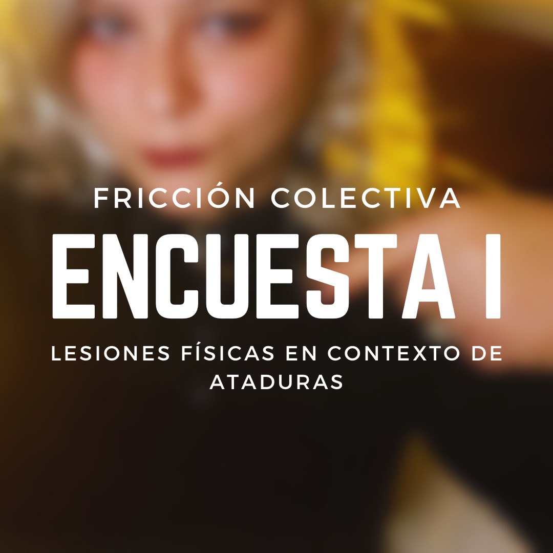 Fricción Colectiva: Encuesta I